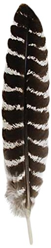 ERGEOB Truthahn Federn 20-30 cm/ 8-12 Zoll Länge Truthahnfedern 10/20/50 stück… von ERGEOB