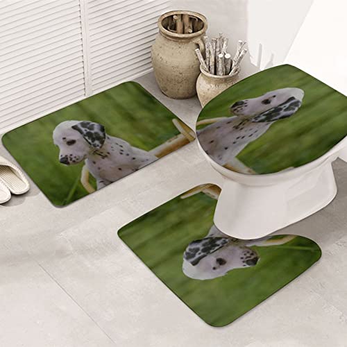 ERICAT Badezimmermatte, dreiteiliges Set saugfähiger und Rutschfester Bodenmatten,Dalmatinisches Hundegesicht sitzen in einem Korb,verwendet für Badezimmer und Duschen von ERICAT