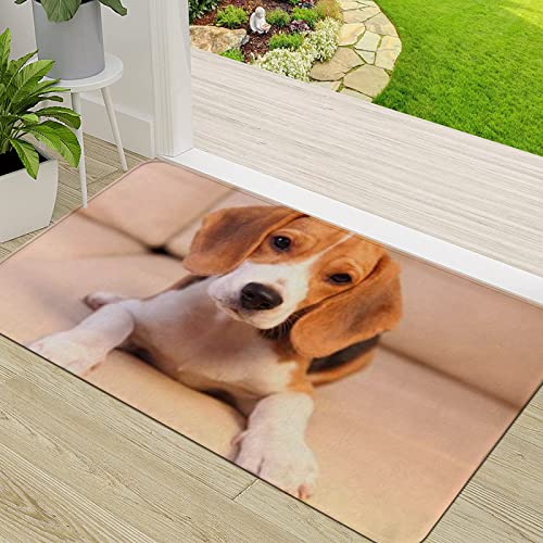 ERICAT Fußmatte Schmutz Wasserabsorbierend Fußabtreter,Niedlicher Beagle-Welpe, gehorsam, Leder, Tiere, Tiere, Hund, Happy Hound Sofa,InnenbereichTürmatte rutschfest Waschbar Eingangsmatte Innen von ERICAT