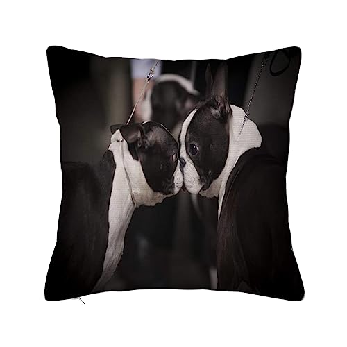 ERICAT Überwurf Kissen Fall Quadratisch Kissenbezug,Boston Terrier auf der Hundeausstellung,Home Dekorative Sofa Sessel Schlafzimmer Wohnzimmer 45x 45cm von ERICAT