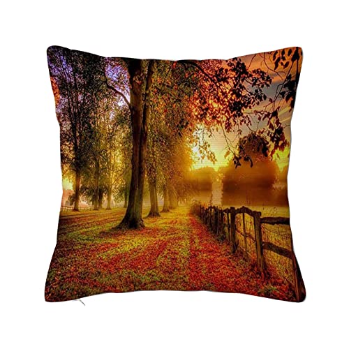 ERICAT Überwurf Kissen Fall Quadratisch Kissenbezug,Herbst Herbst Wald Goldene Blätter Bauernhaus natürlichen Hintergrund,Home Dekorative Sofa Sessel Schlafzimmer Wohnzimmer 45x 45cm von ERICAT