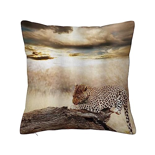 ERICAT Überwurf Kissen Fall Quadratisch Kissenbezug,Leopard ruht dramatisch bewölkter Himmel Safari Wildkatzen Naturbild,Home Dekorative Sofa Sessel Schlafzimmer Wohnzimmer 45x 45cm von ERICAT