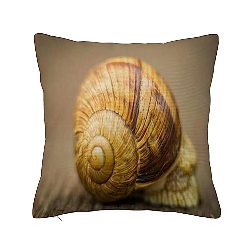 ERICAT Überwurf Kissen Fall Quadratisch Kissenbezug,Schlafen Tier Schnecke Closeup Garten natürliche Shell Textur Wildlife,Home Dekorative Sofa Sessel Schlafzimmer Wohnzimmer 45x 45cm von ERICAT