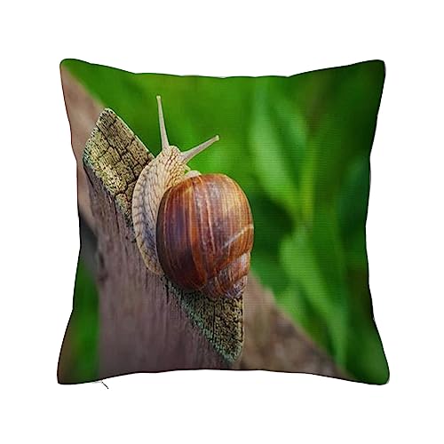 ERICAT Überwurf Kissen Fall Quadratisch Kissenbezug,Schnecke Geschwindigkeit auf Shell Alten Holzzaun Closeup Tiere Wildlife Saison Natur,Home Dekorative Sofa Sessel Schlafzimmer Wohnzimmer 45x 45cm von ERICAT