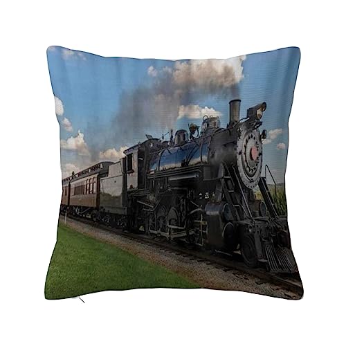 ERICAT Überwurf Kissen Fall Quadratisch Kissenbezug,Vintage Lokomotive Landschaft Landschaft Green Grass Puff Zug Bild,Home Dekorative Sofa Sessel Schlafzimmer Wohnzimmer 45x 45cm von ERICAT