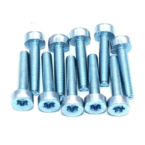10PKS T27 Torx-Schraube M5 X 25Fit for Kettensäge Gebläse Pinne von ERIHJOX