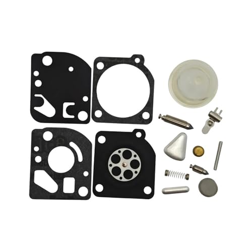 2 teile/los Vergaser Reparatur Rebuild Kit Fit For125 125R 128R 124L 124C 125C 125E 128L 128CD 128LDX 128DJX 128LD 128RJ von ERIHJOX