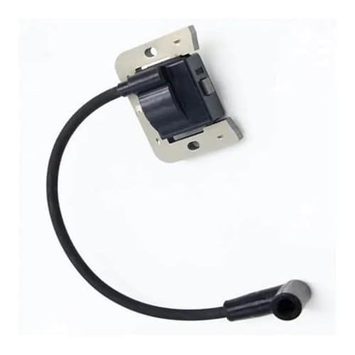 ERIHJOX 1/2 stücke Zündspule Kit Fit for 2458445-S 2458401-S 24 584 45-S 24 584 01-S 24-584-01S(1pc) von ERIHJOX