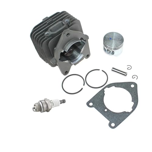 ERIHJOX 36,5 mm Zylinderkolbensatz passend for RY30550 RY30530 RY30522 RY30542 RY30562 RY30524 RY30544 RY30564 RY30220 RY30220A RY30220 ERIHJOX 36,5 mm Zylinderkolbensatz passend for RY30550 RY30530 RY30522 RY30542 RY30562 RY30524 RY30544 RY30564 RY30220 RY30220A RY30220 von ERIHJOX