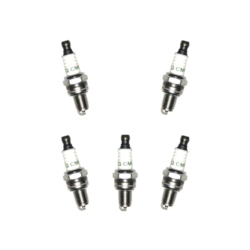 ERIHJOX 5 stücke Zündkerze Fit for RY10532 RY60520 RY09460 RY13010 RY13050 RY34000 RY34420 RY34421 RY34440 RY34441 von ERIHJOX