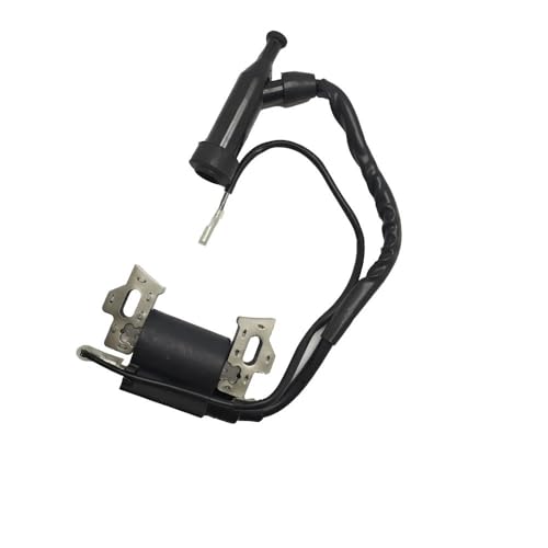 ERIHJOX Vergaser Zündspule Recoil Starter SetFit ForGX120 GX140 GX 160 GX168 GX200 5HP 5.5HP 6.5HP Motor Garten Teile(Ignition Coil) von ERIHJOX