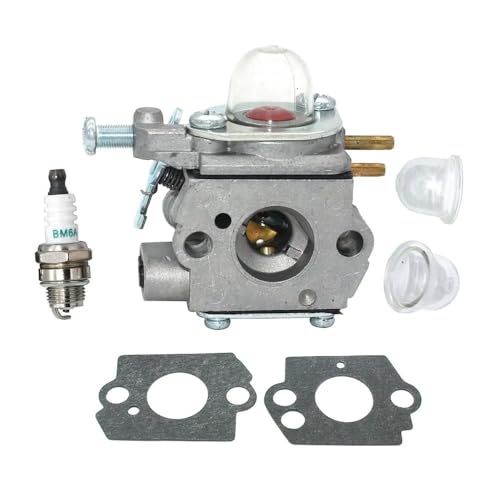 ERIHJOX Vergaser passend for RM2510 RM2520 RM2560 RM2570 RM2599 RM2750 RM4625 WT-973 WT-1116 von ERIHJOX
