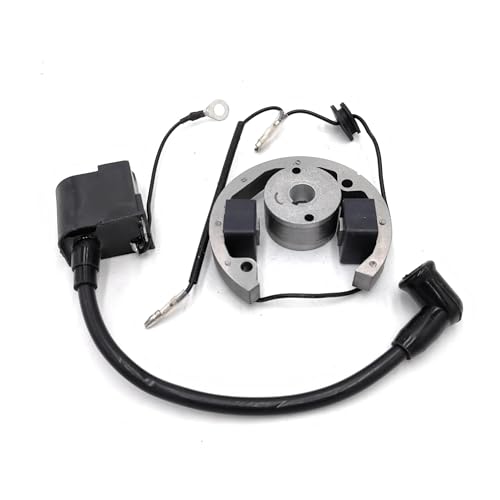 Mini Motorrad 50cc Zubehör Zündspule Pit Bike Fit for 50 SX Elektrische Und Zündung Interne Rotor Stator Gy6 Mini Motorrad 50cc Zubehör Zündspule Pit Bike Fit for 50 SX Elektrische Und Zündung Interne Rotor Stator Gy6 von ERIHJOX