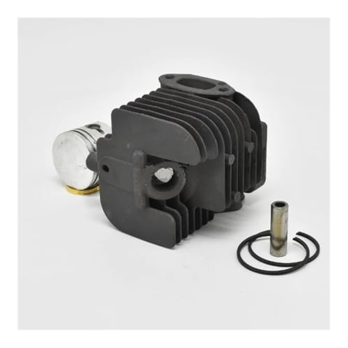 Zylinderkolbensatz 32 MM Passend for DH230 C230 AH230 AH231 AHS231 LE230 LE231 P230 P231 TCX230 X230 T231 M230 Hecke Zylinderkolbensatz 32 MM Passend for DH230 C230 AH230 AH231 AHS231 LE230 LE231 P230 P231 TCX230 X230 T231 M230 Hecke von ERIHJOX