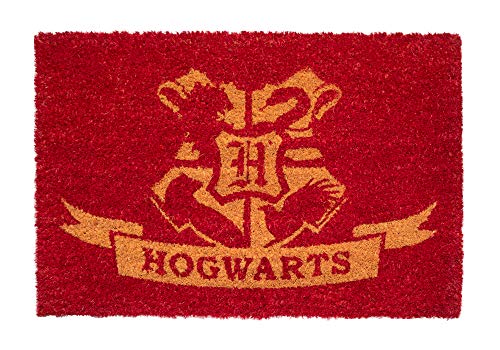 Grupo Erik Kokosmatte Fußmatte Harry Potter Platform 9 3/4 Fussmatte - Schmutzfangmatte 40x60 cm - Fussmatte Lustig - Türmatte Innen Harry Potter Fanartikel von Grupo Erik