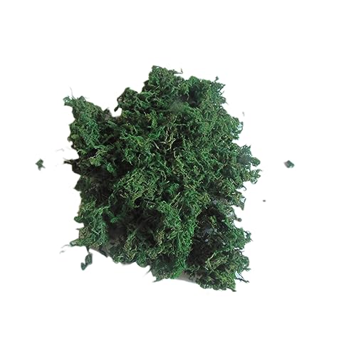ERINGOGO 3Packungen Getrocknete Moos Lichen Grüne Pflanzen für Garten Dekoration pro Packung Künstliche Pflanzen für Kreative DIY Projekte ERINGOGO 3Packungen Getrocknete Moos Lichen Grüne Pflanzen für Garten Dekoration pro Packung Künstliche Pflanzen für Kreative DIY Projekte von ERINGOGO