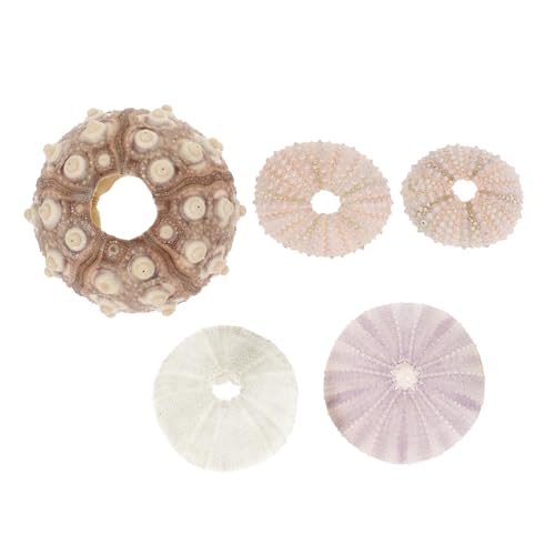 ERINGOGO 5 Stück Natürliche Seeigel Schalen Pflanzgefäße Kleine Luftpflanzenhalter Dekorativ für Aquarium Wohn und Bürodekoration Glatt Verarbeitet Einzigartiges Design ERINGOGO 5 Stück Natürliche Seeigel Schalen Pflanzgefäße Kleine Luftpflanzenhalter Dekorativ für Aquarium Wohn und Bürodekoration Glatt Verarbeitet Einzigartiges Design von ERINGOGO