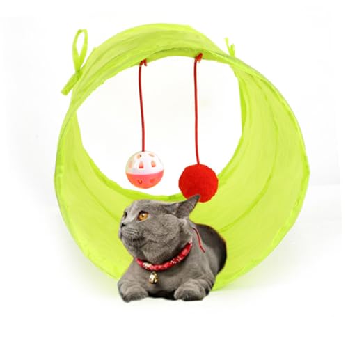 ERINGOGO Faltbarer Katzentunnel mit Leuchtendem Grün Interaktives Katzenspielzeug für Wohnungskatzen Sicherer Rückzugsort und Spaßiger Spieltunnel zur Beschäftigung und Bewegung Kleiner ERINGOGO Faltbarer Katzentunnel mit Leuchtendem Grün Interaktives Katzenspielzeug für Wohnungskatzen Sicherer Rückzugsort und Spaßiger Spieltunnel zur Beschäftigung und Bewegung Kleiner von ERINGOGO