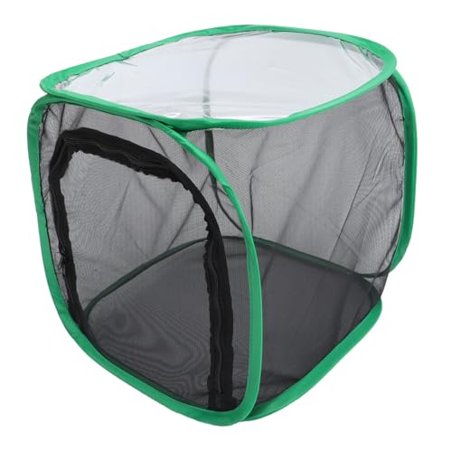 ERINGOGO Faltbarer Schmetterlingsnetz Käfig mit Grünem Insektenschutz Box und Pflanzengewächshaus für Naturbeobachtung Kinderfreundlich und Wiederverwendbar ERINGOGO Faltbarer Schmetterlingsnetz Käfig mit Grünem Insektenschutz Box und Pflanzengewächshaus für Naturbeobachtung Kinderfreundlich und Wiederverwendbar von ERINGOGO