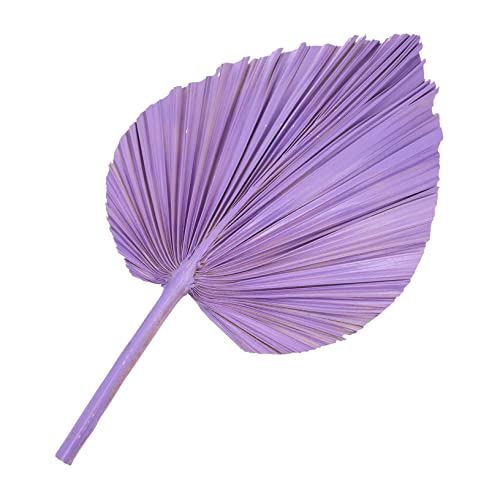 ERINGOGO Getrocknete Palmblätter Deko Bunte Natürliche Deko Für Hochzeiten Und Feste Für Stilvolle Blumenarrangements Und Kreative Raumgestaltung ERINGOGO Getrocknete Palmblätter Deko Bunte Natürliche Deko Für Hochzeiten Und Feste Für Stilvolle Blumenarrangements Und Kreative Raumgestaltung von ERINGOGO