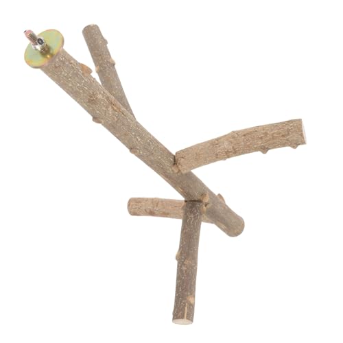 ERINGOGO Natürlicher Holz Vogelstand für Wellensittiche und Papageien Einstellbare Sitzstange für Vogelkäfige und Trainieren Langlebig Installieren Perfektes Zubehör für Haustierliebhaber ERINGOGO Natürlicher Holz Vogelstand für Wellensittiche und Papageien Einstellbare Sitzstange für Vogelkäfige und Trainieren Langlebig Installieren Perfektes Zubehör für Haustierliebhaber von ERINGOGO