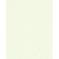 Erismann Vliestapete 10171-35 ELLE Decoration 2 uni hellgrün 10,05 x 0,53 m Vliestapeten Erismann Vliestapete 10171-35 ELLE Decoration 2 uni hellgrün 10,05 x 0,53 m Vliestapeten von ERISMANN