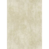 Erismann Vliestapete Putz beige 10,05 x 0,53 m von ERISMANN