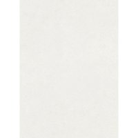 Erismann Vliestapete Uni weiß 10,05 x 0,53 m Erismann Vliestapete Uni weiß 10,05 x 0,53 m von ERISMANN