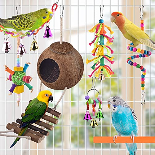 Vogelspielzeug, ERKOON Nymphensittich Futter Wellensittich Spielzeug Bird Feeder Toy for Parakeets Papagei Kauspielzeug,Vögel Am Käfig Installieren Können für Alle Papageien & Vogel (L) Vogelspielzeug, ERKOON Nymphensittich Futter Wellensittich Spielzeug Bird Feeder Toy for Parakeets Papagei Kauspielzeug,Vögel Am Käfig Installieren Können für Alle Papageien & Vogel (L) von ERKOON