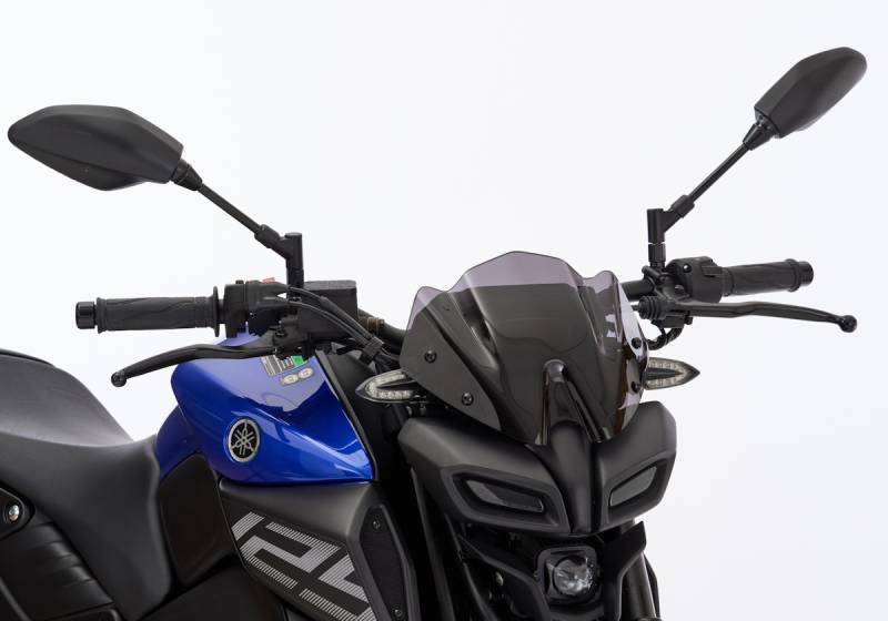 ERMAX Naked-Bike-Scheibe Windschutz  Für YAMAHA MT-125 RE39 von ERMAX