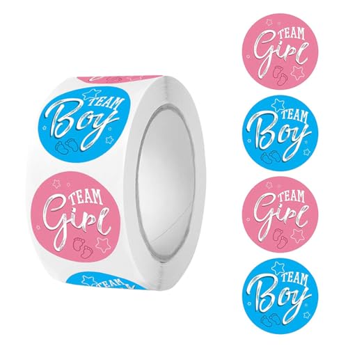 Geschlechtsetiketten für Ordner, Notizbücher, hochwertiges beschichtetes Papier, lange Haftung, Schule, Lehrer, Organisation, wesentliches Gitter, beschichtetes Kunstpapier-Aufkleber von ERRORY