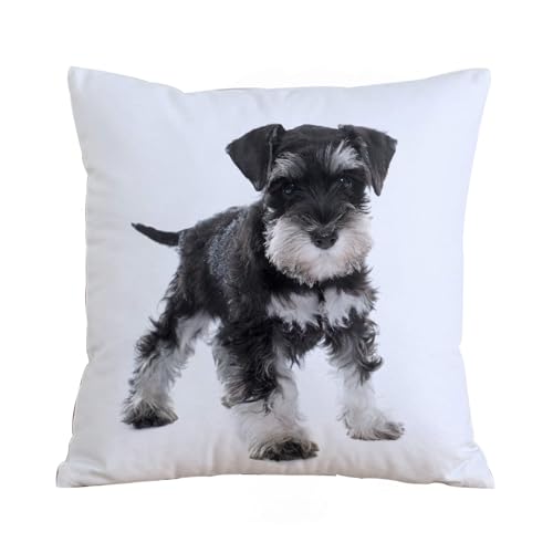 ERRTU Kissenbezug 45x45 cm,Zwergschnauzer-Welpen vor weißem Hintergrund,Dekokissen Kissenbezüge Deko Kissen Bezug Wohnzimmer Zierkissen für Sofa Stuhl Bett Garten ERRTU Kissenbezug 45x45 cm,Zwergschnauzer-Welpen vor weißem Hintergrund,Dekokissen Kissenbezüge Deko Kissen Bezug Wohnzimmer Zierkissen für Sofa Stuhl Bett Garten von ERRTU