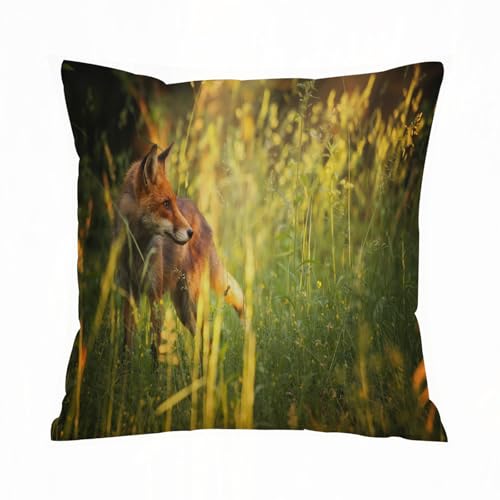 ERRTU Kissenbezug 50x50 cm,Abwaschbare Tischsets, Fuchs Fuchs im Sommerwald frische Wiese gra,Dekokissen Kissenbezüge Deko Kissen Bezug Wohnzimmer Zierkissen für Sofa Stuhl Bett Garten ERRTU Kissenbezug 50x50 cm,Abwaschbare Tischsets, Fuchs Fuchs im Sommerwald frische Wiese gra,Dekokissen Kissenbezüge Deko Kissen Bezug Wohnzimmer Zierkissen für Sofa Stuhl Bett Garten von ERRTU