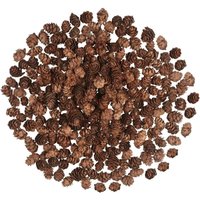 200 Stück Weihnachts-Tannenzapfen, Mini-Natürliche Tannenzapfen, Thanksgiving-Tannenzapfen, Weihnachts-Tannenzapfen, Ornamente für 200 Stück Weihnachts-Tannenzapfen, Mini-Natürliche Tannenzapfen, Thanksgiving-Tannenzapfen, Weihnachts-Tannenzapfen, Ornamente für von ERSANDY