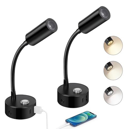 ERWEY 2er LED Leselampe 12V Wohnmobil, Touch Dimmbar 3000K-6000K einstellbare Helligkeit, 360° Flexible Schwanenhals Bettlampe mit USB A+C-Anschlüssen für Boot Wohnwagen Innenbeleuchtung, Schwarz von ERWEY