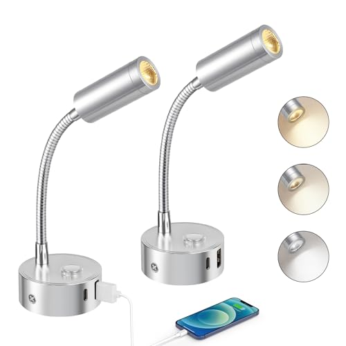 ERWEY 2er LED Leselampe 12V Wohnmobil, Touch Dimmbar 3000K-6000K einstellbare Helligkeit, 360° Flexible Schwanenhals Bettlampe mit USB A+C-Anschlüssen für Boot Wohnwagen Innenbeleuchtung, Silber von ERWEY