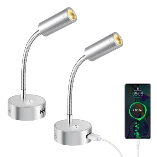 ERWEY 2er LED Leselampe 12V Wohnmobil mit Flexible Schwanenhals und USB-Ladeanschluss 3000K Warmweiß DC 12V-24V Spot für Boot Wohnwagen Innenbeleuchtung Yacht, Fest verdrahtet Wandmontage, Silber von ERWEY