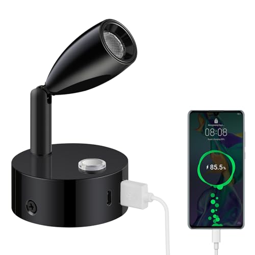 ERWEY LED Leselampe 12V Wohnmobil Touch Dimmbar 3 Farbtemperatur Modi, Wandlampe mit Ladefunktion USB A+C-Anschlüssen, DC 12V-24V Spot Innenbeleuchtung für Boot Auto Camper Van Yacht, Schwarz von ERWEY