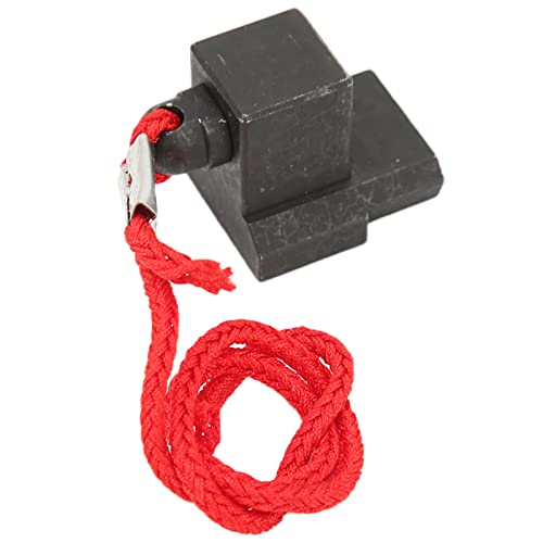 ERYUE Auto -Schwungradhalter -Reparatur -Timing -Werkzeug, Schwarzoxidbeschichtung 118660 Ersatz für N20 N26 N55 Motor, Bestehend aus Hochwertiger Stahl, Robust und von ERYUE