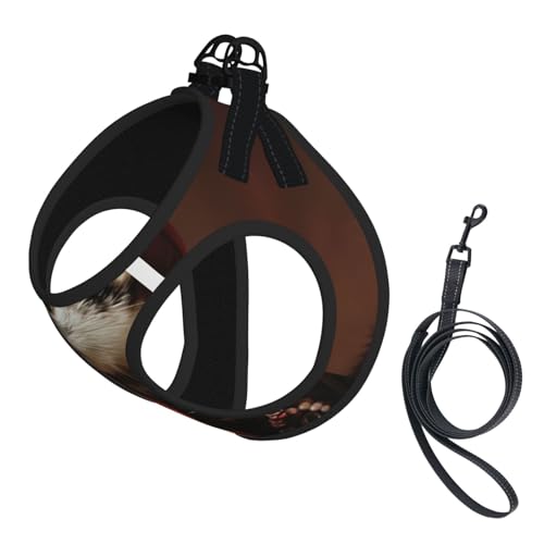 Französiches Hundegeschirr mit Frettchen-Druck, reflektierend, verstellbar, ausbruchsicher, mit weichem, atmungsaktivem Netzgewebe, für kleine Haustiere und Kätzchen, Welpen Französiches Hundegeschirr mit Frettchen-Druck, reflektierend, verstellbar, ausbruchsicher, mit weichem, atmungsaktivem Netzgewebe, für kleine Haustiere und Kätzchen, Welpen von ERhoug
