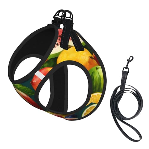 Gesundes Lebensmittel-Druckgeschirr-Set für Katzen und Hunde, reflektierend, verstellbar, ausbruchsicher, mit weichem, atmungsaktivem Netzgewebe, für kleine Haustiere und Kätzchen, Welpen Gesundes Lebensmittel-Druckgeschirr-Set für Katzen und Hunde, reflektierend, verstellbar, ausbruchsicher, mit weichem, atmungsaktivem Netzgewebe, für kleine Haustiere und Kätzchen, Welpen von ERhoug