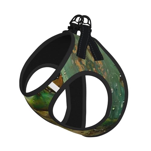 Hundegeschirr mit Frosch- und Regendruck, reflektierend, verstellbar, ausbruchsicher, mit weichem, atmungsaktivem Netzgewebe, für kleine Haustiere und Kätzchen, Welpen Hundegeschirr mit Frosch- und Regendruck, reflektierend, verstellbar, ausbruchsicher, mit weichem, atmungsaktivem Netzgewebe, für kleine Haustiere und Kätzchen, Welpen von ERhoug
