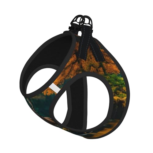 Hundegeschirr mit Hirschbär-Elch-Aufdruck, reflektierend, verstellbar, ausbruchsicher, mit weichem, atmungsaktivem Netzgewebe, für kleine Haustiere und Kätzchen, Welpen Hundegeschirr mit Hirschbär-Elch-Aufdruck, reflektierend, verstellbar, ausbruchsicher, mit weichem, atmungsaktivem Netzgewebe, für kleine Haustiere und Kätzchen, Welpen von ERhoug