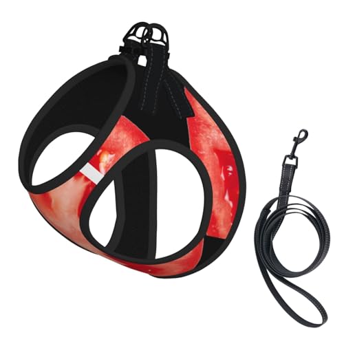 Hundegeschirr mit Tomatenscheiben-Druck, reflektierend, verstellbar, ausbruchsicher, mit weichem, atmungsaktivem Netzgewebe, für kleine Haustiere und Kätzchen, Welpen Hundegeschirr mit Tomatenscheiben-Druck, reflektierend, verstellbar, ausbruchsicher, mit weichem, atmungsaktivem Netzgewebe, für kleine Haustiere und Kätzchen, Welpen von ERhoug