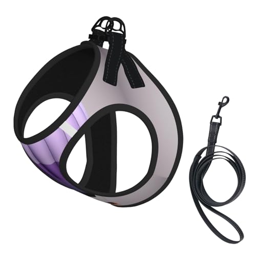 Leinen-Set mit Heißluftballon-Druck, reflektierend, verstellbar, ausbruchsicher, mit weichem, atmungsaktivem Netzgewebe, für kleine Haustiere und Kätzchen, Welpen, Lavendelfarben Leinen-Set mit Heißluftballon-Druck, reflektierend, verstellbar, ausbruchsicher, mit weichem, atmungsaktivem Netzgewebe, für kleine Haustiere und Kätzchen, Welpen, Lavendelfarben von ERhoug
