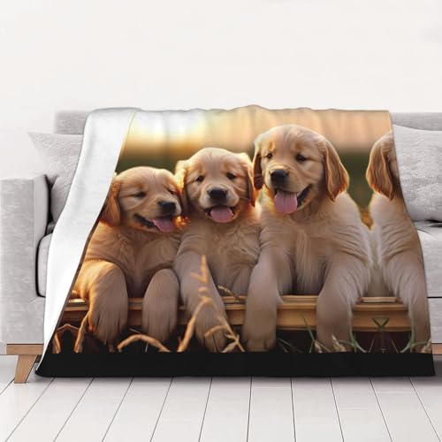 ESASAM Golden Retriever Decke mit Hundemotiv, perfekt für Bett, Sofa, Camping oder Reisen von ESASAM