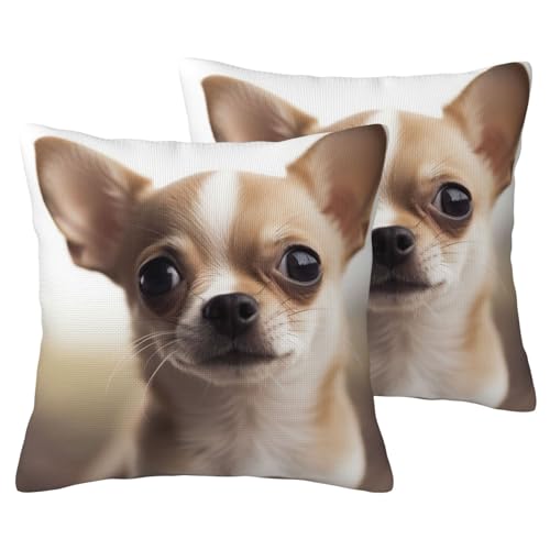 ESASAM Lustiger Chihuahua-Kissenbezug, bequem und weich, hautfreundlich, modisch und elegant ESASAM Lustiger Chihuahua-Kissenbezug, bequem und weich, hautfreundlich, modisch und elegant von ESASAM
