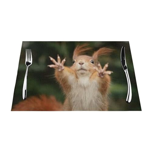 Eichhörnchen Lustiges Tier Gewebtes Tischset – Hitzebeständige und leicht zu reinigende Esszimmermatte für Tischdekoration, Küche, Esszimmer, Tischset, Outdoor, Restaurant, Platzset von ESASAM