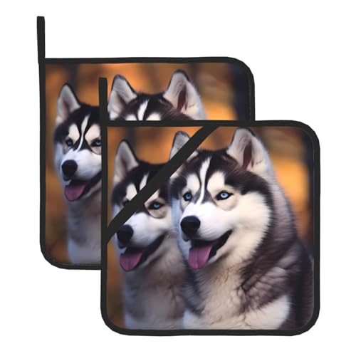 Topflappen-Sets mit Husky-Motiv, für Damen und Herren, zum Kochen, Backen, Mikrowelle, Grillen, Geschenk Topflappen-Sets mit Husky-Motiv, für Damen und Herren, zum Kochen, Backen, Mikrowelle, Grillen, Geschenk von ESASAM