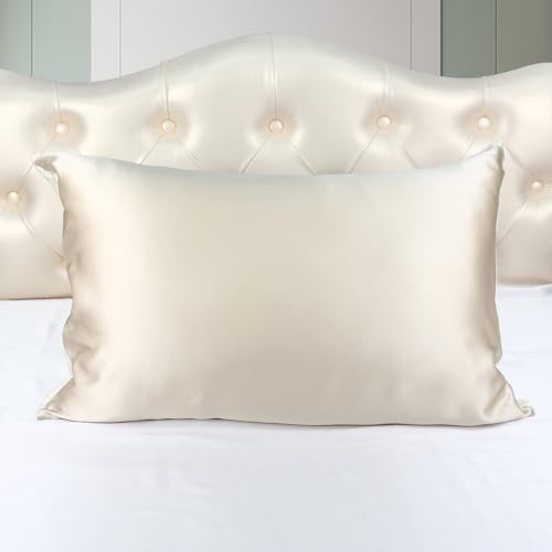 ESASILK Kissenbezug aus 100 % Maulbeerseide, 19 Momme Seide, Kissenbezug für Haar und Haut, 50,8 x 66 cm, Kissenbezug mit Reißverschluss, 1 Packung (Champagner, Doppelbett) von ESASILK